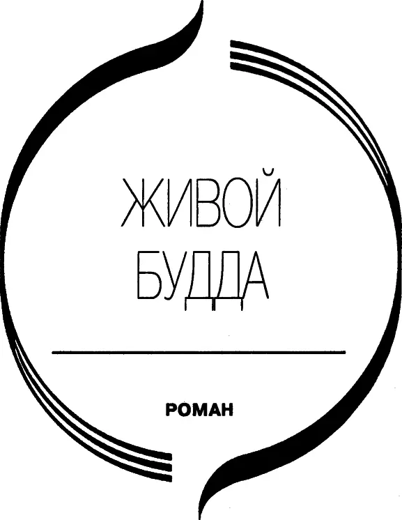 Запретный город I Автомобиль двигался по возвышавшейся над рисовыми полями - фото 4