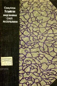 В. Самуйлов - Устройство вооруженных сил Республики