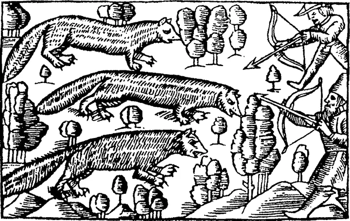Рис 15 Охота на пушного зверя на Руси Из книги Olaus Magnus Historia de - фото 16