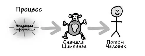 И Человек и Шимпанзе мыслят в режиме здесь и сейчас и оба интерпретируют - фото 24