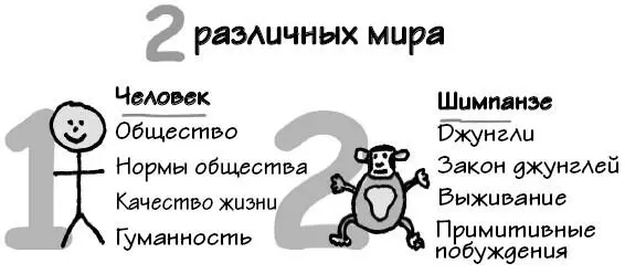 Компьютер получает информацию из двух различных миров Компьютер записывает - фото 82