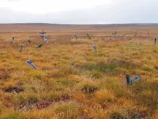 Лагерное кладбище в Амбарчике рядом с остатками лагеря Фото ФРоманенко 2005 - фото 74