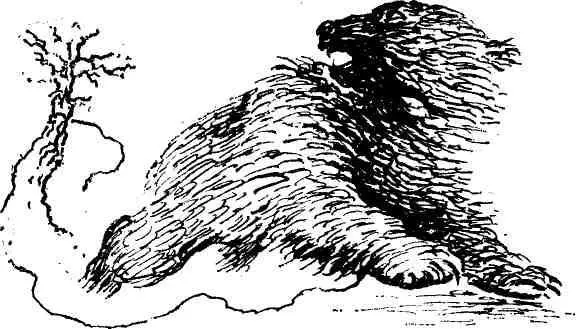 Утром по Кедровке разнесся слух Медведь Медведь В петле ревет на овсах у - фото 14