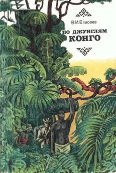 Василий Елисеев - По джунглям Конго (Записки геолога)