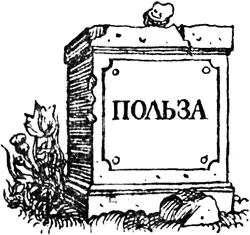 4338й год 32 Петербургские письма 197 ПРЕДИСЛОВИЕ ПримечаниеЭти письма - фото 33
