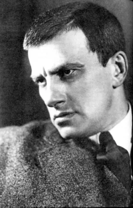 Маяковский Фото А Теремина 1929 г Друзья и в первую очередь Лили - фото 132