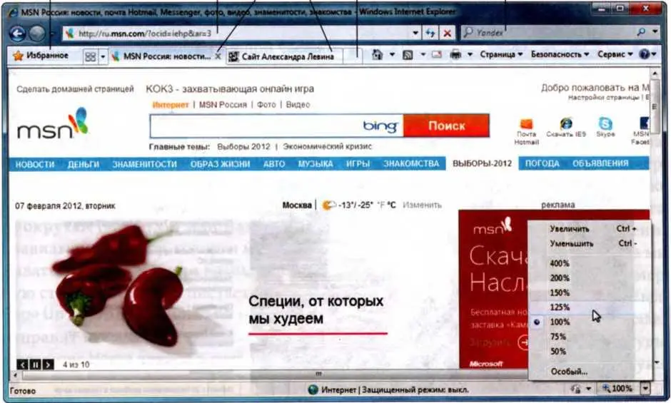 Рис 59 Internet Explorer 8 увеличиваем масштаб вебстраницы до 125 шинстве - фото 188