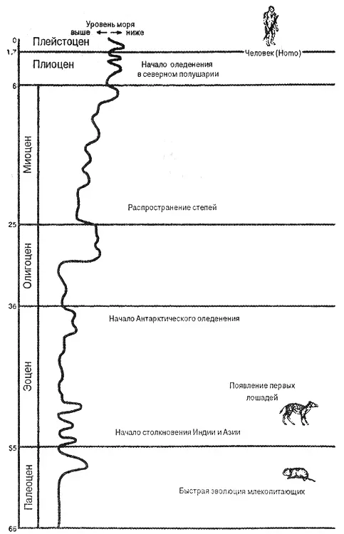 Главные события кайнозоя Время в миллионах лет назад Обратите внимание - фото 33
