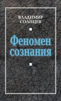 Владимир Солнцев - Феномен сознания