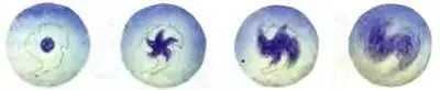 Рис 9 Фазы развития озоновой дыры Точно так же происходит и в атмосфере - фото 46