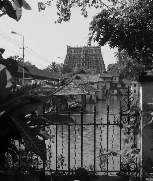 Храм времен династии Пандья в Тривандруме И сам Мадурай старая столица - фото 25