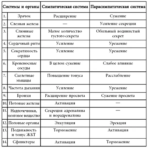 При симпатическом варианте реагирования наиболее частыми жалобами являются - фото 10