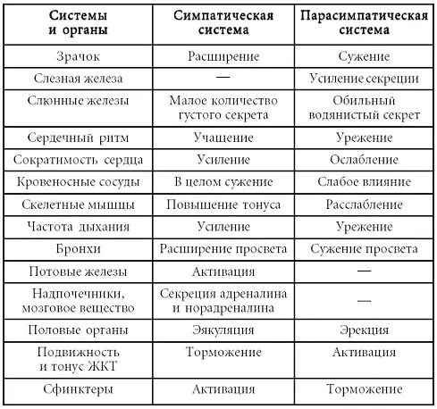 2 Перебои в работе сердца Как правило это перебои субъективного - фото 5