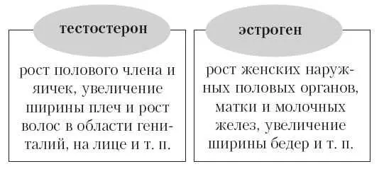 Когда все это безобразие начинается Сроки очень варьируют у когото пубертат - фото 7