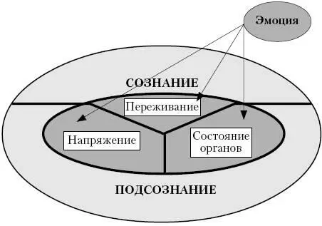 Возьмем для примера отрицательную эмоцию страх Мы встретились с опасностью - фото 32