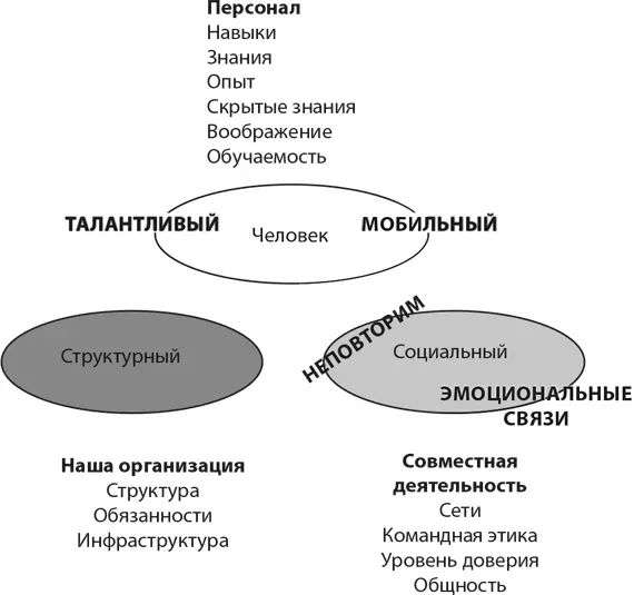 Рисунок 121Виды человеческого капитала Взаимосвязь персонала и - фото 22