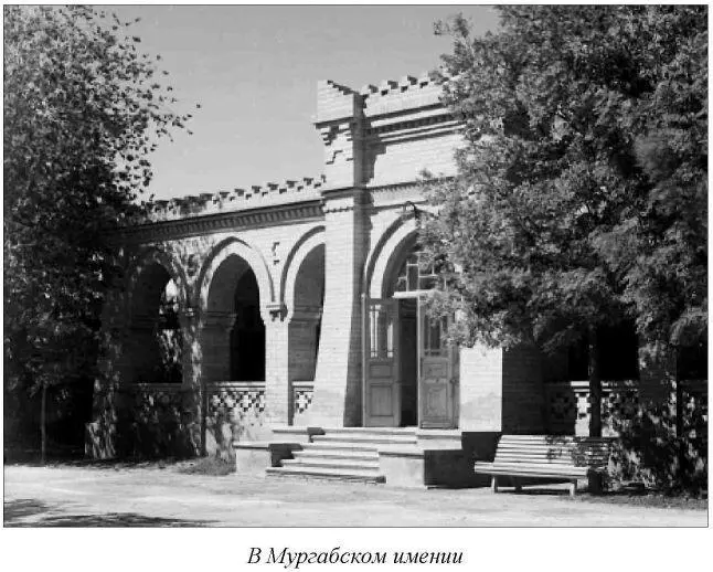 Что за славные животные эти корабли пустыни и каким роскошным подарком - фото 16