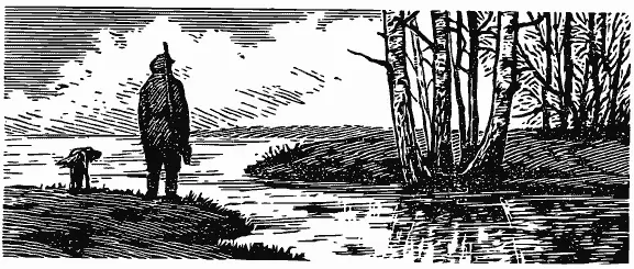Весна света и воды Первая капель У нас фенологов наблюдающих смену явлений - фото 7