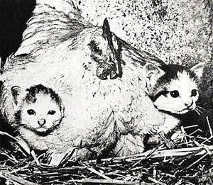 Великий инстинкт материнства Посмотрите сначала на снимок Он очень - фото 27