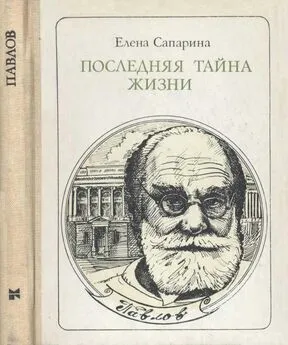 Елена Сапарина - Последняя тайна жизни (Этюды о творчестве)