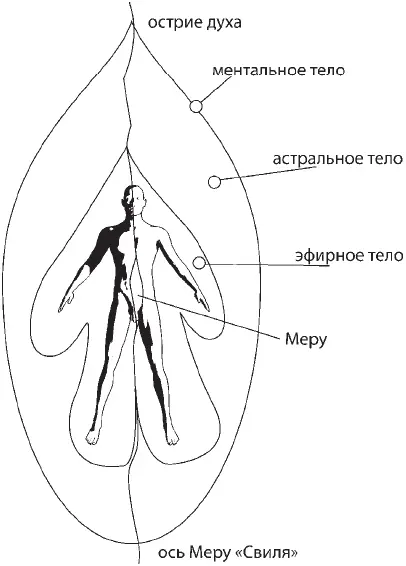 Рис 8Ведогон человека Внутренняя граница соответствует эфирному телу которое - фото 8