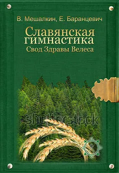 Евгений Баранцевич - Славянская гимнастика. Свод Здравы Велеса