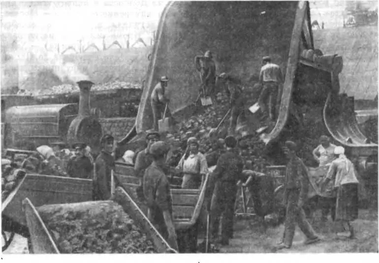 Разгрузка кокса на Юзовском металлургическом заводе 1914 г И все же в - фото 71