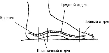 Рис 525 Боковая поверхность стопы Если ктонибудь для вас сделает - фото 222