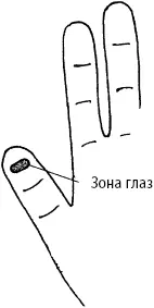 Рис 533 При боли в глазах Глава 6 Вакууммассаж активных зон Как и многие - фото 231
