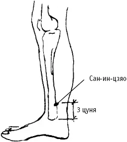 Рис 212 д Рис 212 е Дополнительный эффект от воздействия на точку - фото 81