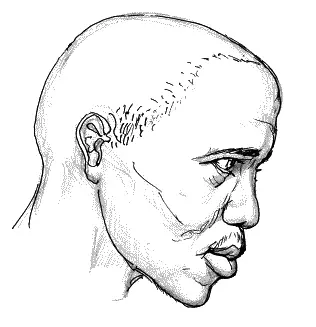Рис 36 Вот перед нами конголезский мужчина рис 36 в профиль Здесь мы - фото 36