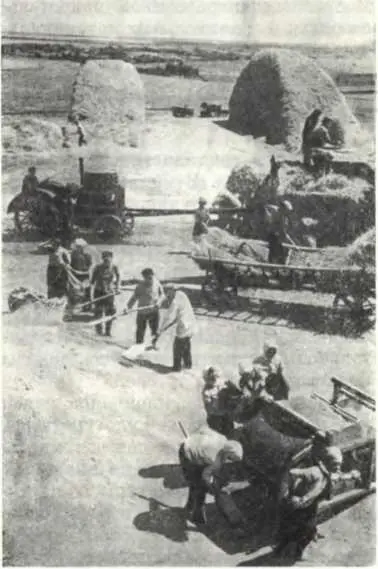 Молотьба в колхозе Коминтерн Грушковского района Одесской области 1938 г - фото 151
