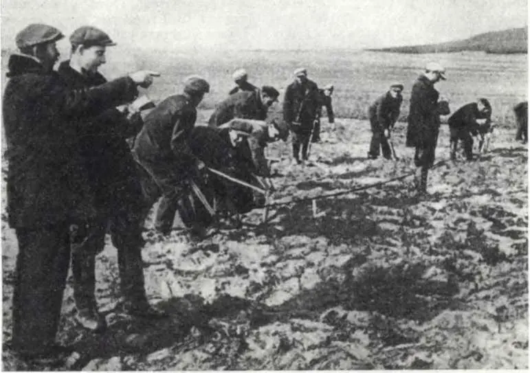 Распределение помещичьей земли среди крестьян Западной Украины 1939 г - фото 170