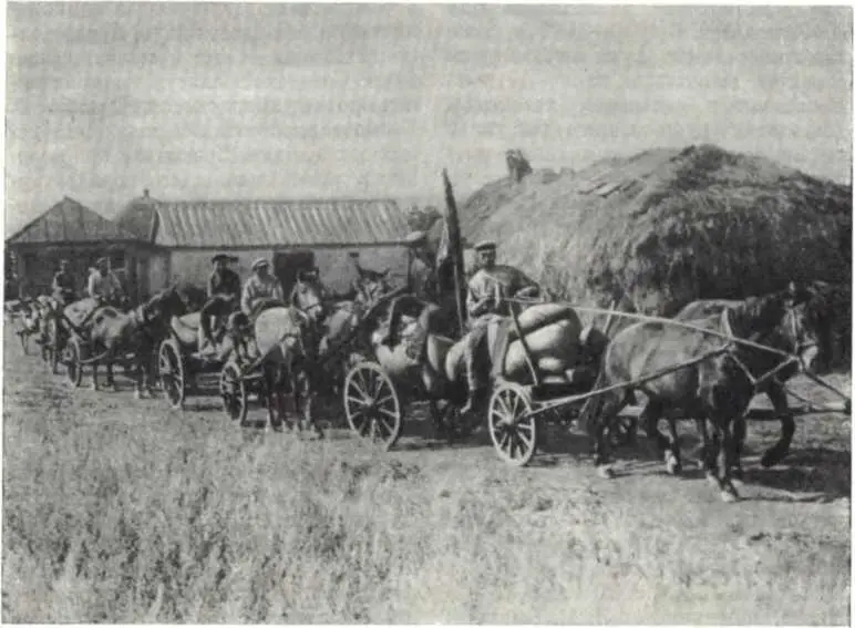 Красный обоз с хлебом с Алексеевна Лозовского района Харьковской области - фото 64