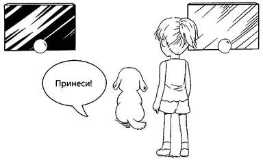 Как минимум в этой ситуации собаки реагировали на коммуникативный запрос - фото 15