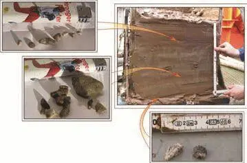 Рис 8 Интервалы осадочного разреза в которых обнаружены обломки гранитоидов - фото 114
