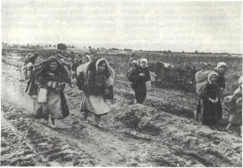 Жители возвращаются в свои родные места Харьковская область Август 1943 г К - фото 111
