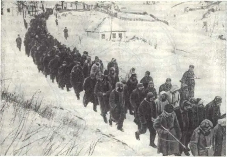 Колонна пленных фашистов после КорсуньШевченковской битвы Февраль 1944 г 8 - фото 149