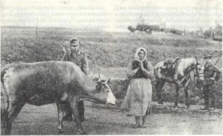 Новый порядок на Украине 1941 г Такая судьба за время вражеской оккупации - фото 34