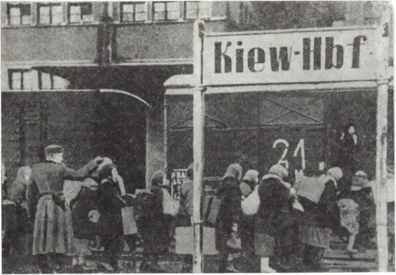 Вывоз в фашистскую Германию советских женщин Киев 1941 г Чрезвычайно важной - фото 36