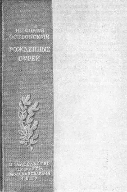 Первое издание романа Рожденные бурей РОЖДЕННЫЕ БУРЕЙ Приступая к работе - фото 41