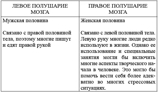 При взаимодействии качеств правого и левого полушарий мозга проявляются все - фото 1