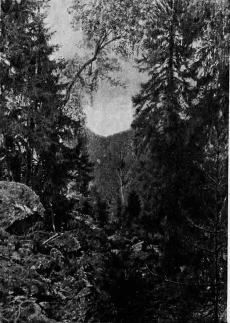 В окрестностях Абастумана С фотогр 1893 г Переводы Туманяна свидетельствуют - фото 11