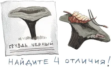 Груздь чёрный Мишка читал громким учительским голосом как будто кроме - фото 12
