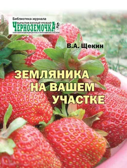 Владимир Щекин - Земляника на вашем участке