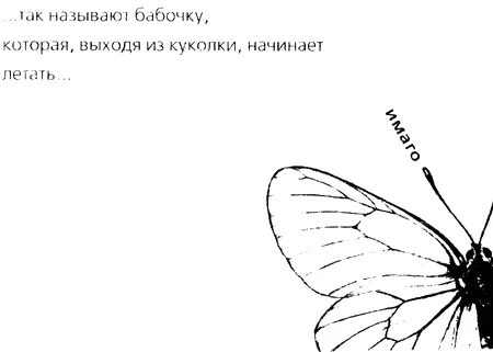 Рафаэль Муссафир Паршивка Часть 1 ВЕТЕР ОБДУВАЕТ МНЕ НОГИ Моей Коломбе и - фото 1