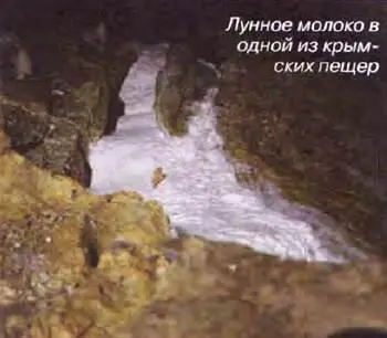 Иную структуру имеет лунное молоко в ряде пещер Архангельской области где - фото 30