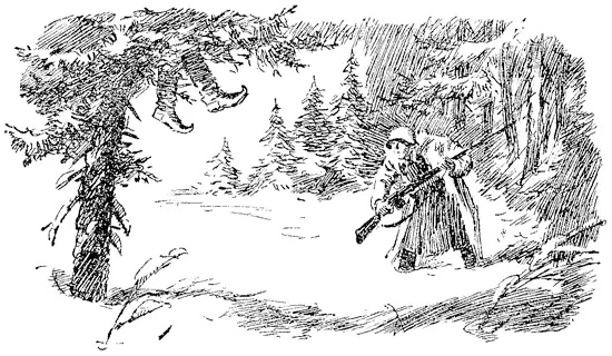 Жнивин вскинул винтовку но сидевший на елке финский солдат выстрелил первый - фото 3