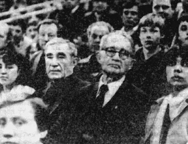 Андрей Петрович и Николай Петрович Старостины на трибуне стадиона - фото 123