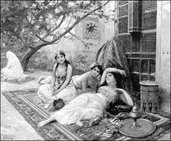 Девушки гарема Художник Фабио Фабби Султанский дворец окруженный высокими - фото 32